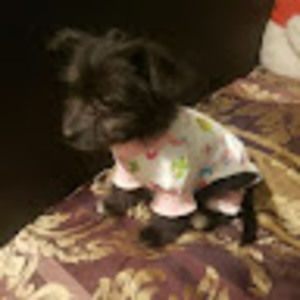 Meet your Posher, Maria magdalena